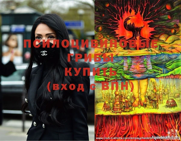 PSILOCYBIN Арсеньев