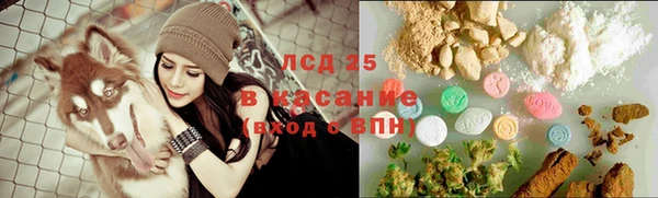 PSILOCYBIN Арсеньев