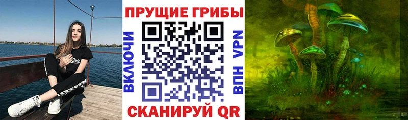 Галлюциногенные грибы Cubensis  Жиздра 